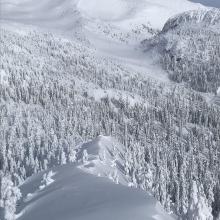 Ridgeline cornices