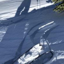 cracking within the recent wind drifted snow near treeline on a northwest aspect