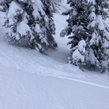 Dry-loose snow sluffing. Below treeline