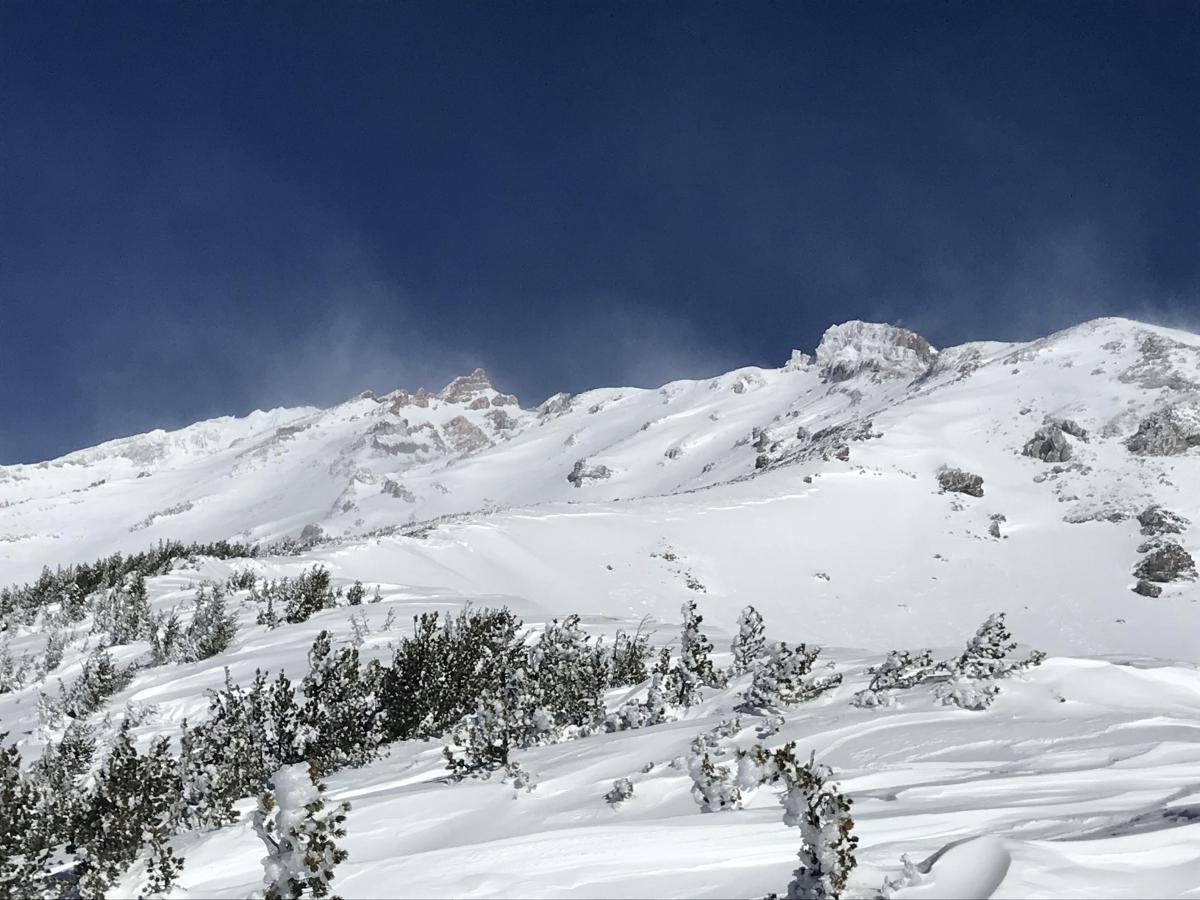 Saint Germain Bowl Avalanche crown Saint Germain Bowl Avalanche crown
